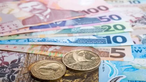 Kiwi start-ups receive $3m investment boost