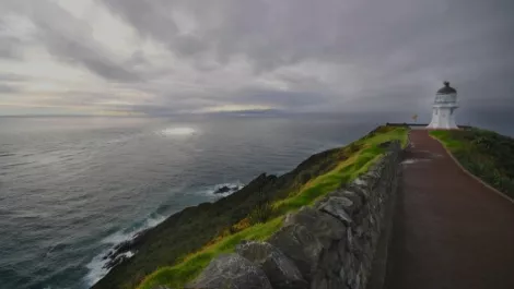 Broadband and cellphone coverage in Northland underwhelming