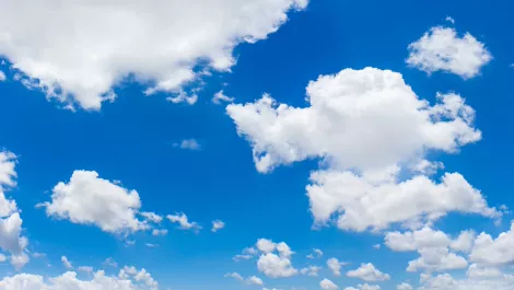 Small business owners not comfortable using cloud services